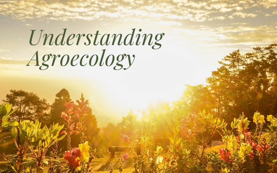 Understanding Agroecology