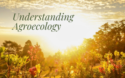 Understanding Agroecology