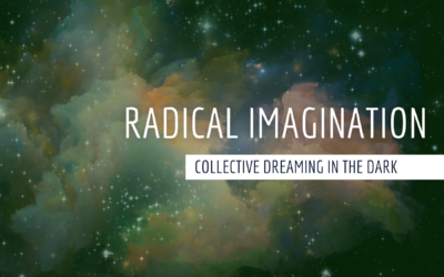 Radical Imagination