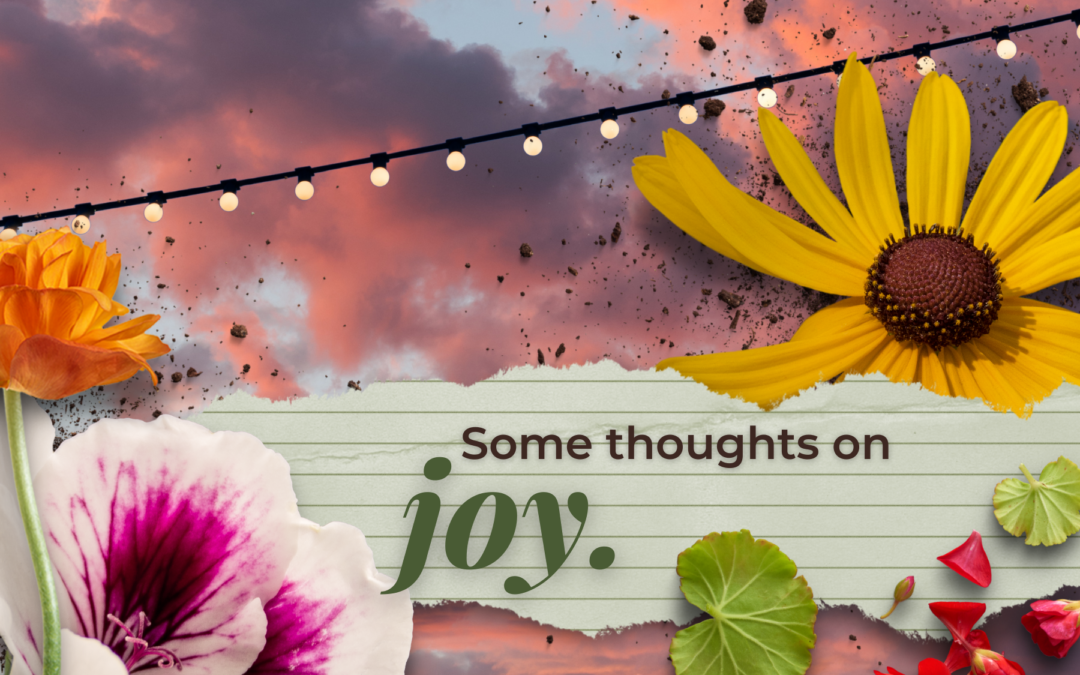 Some thoughts on joy.