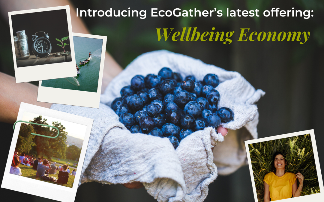 Introducing EcoGather’s latest offering: Wellbeing Economy