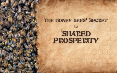 The Honey Bees’ Secret to Shared Prosperity