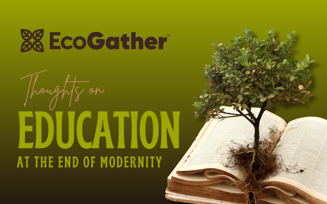 Education at the End of Modernity