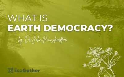 What is Earth Democracy?