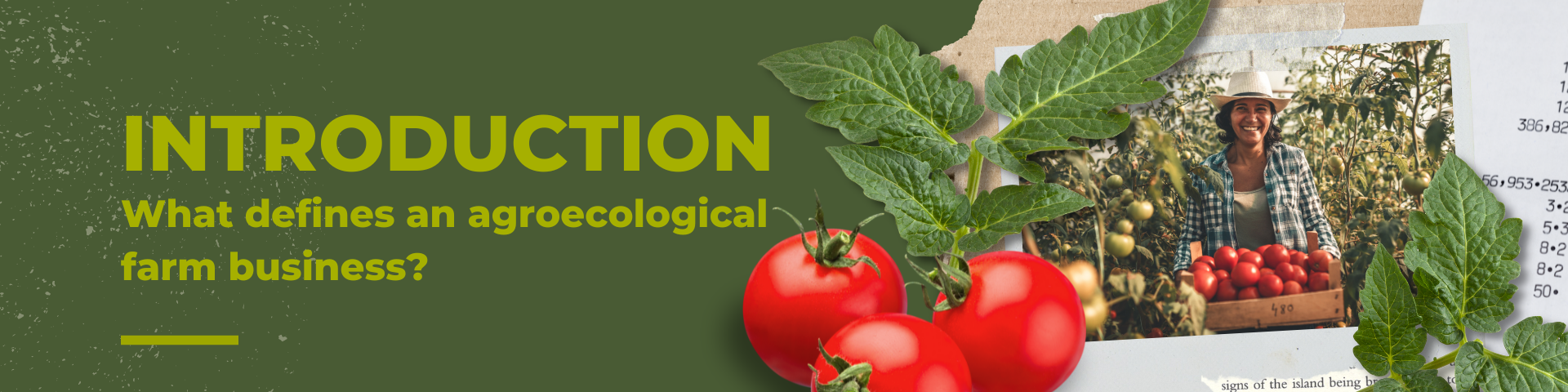 Banner reads Introduction. What defines an agroecological farm business? Collage on right side of three red tomatoes, two branches from tomato plant, and image of woman in flannel and straw hat smiling while holding basket of red tomatoes in greenhouse of tomato plants. 