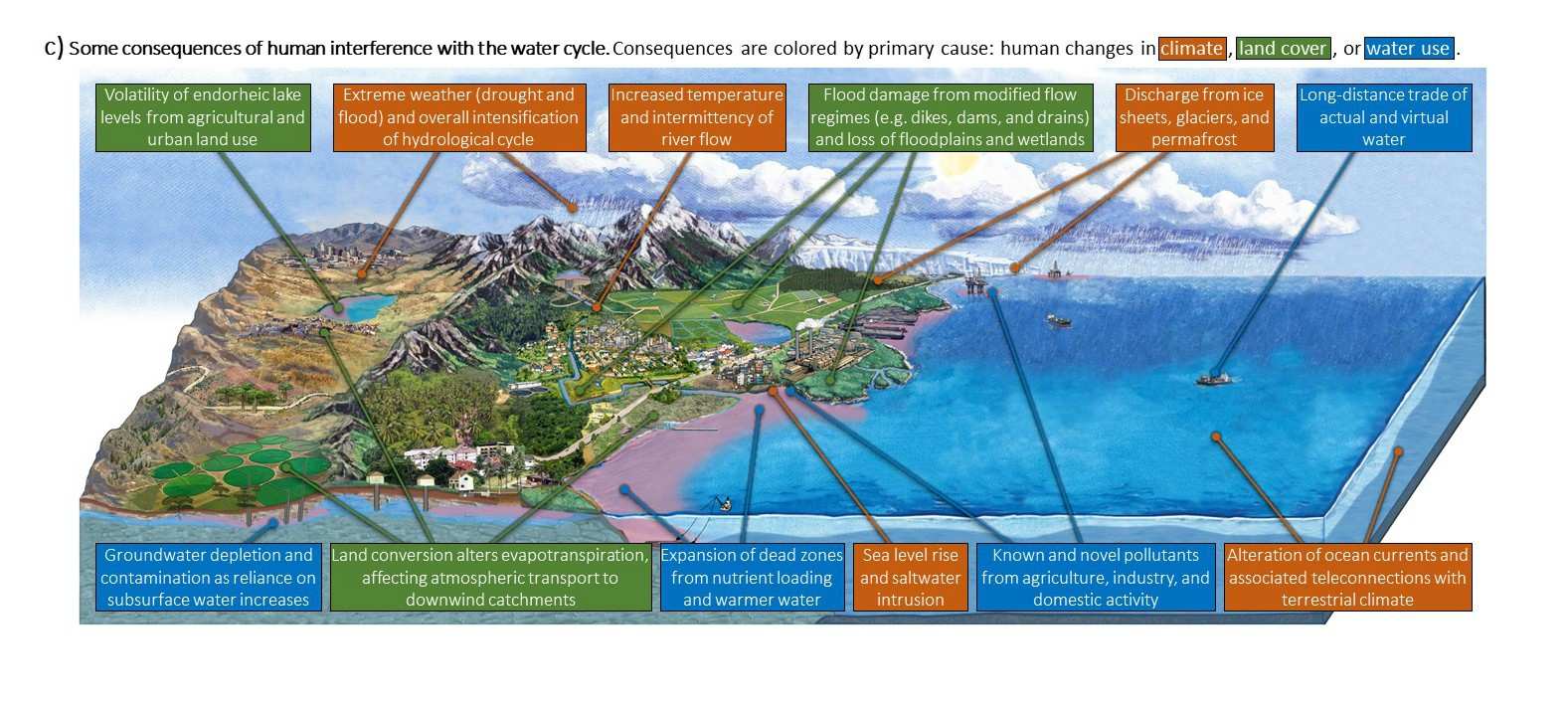 Image labeled: Some consequences of human interference with the water cycle. Consequences are colored by primary cause: human changes in climate (orange), land cover (green), water use (blue). Volatility of endorheic lake levels from agricultural and urban land use (green). Extreme weather (drought and flood) and overall intensification of hydrological cycle (orange). Increased temperature and intermittency of river flow (orange). Flood damage from modified flow regimes (e.g. dikes, dams, and drains) and loss of floodplains and wetlands (green). Discharge from ice sheets, glaciers, and permafrost or water use (orange). Long-distance trade of actual and virtual water (blue). Groundwater depletion and contamination as reliance on subsurface water increases (blue). Land conversion alters evapotranspiration, affecting atmospheric transport to downwind catchments (green). Expansion of dead zones from nutrient loading and warmer water (blue). Sea level rise and saltwater intrusion (orange). Known and novel pollutants from agriculture, industry, and domestic activity (blue). Alteration of ocean currents and associated teleconnections with terrestrial climate (orange).