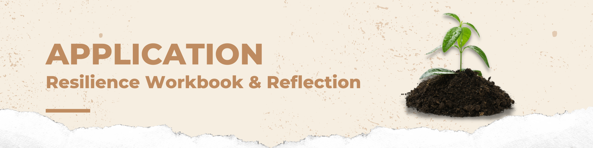 Banner reads Application. Resilience Workbook & Reflection. Torn white paper along bottom edge of banner. Image of sprout emerging from small pile of soil.
