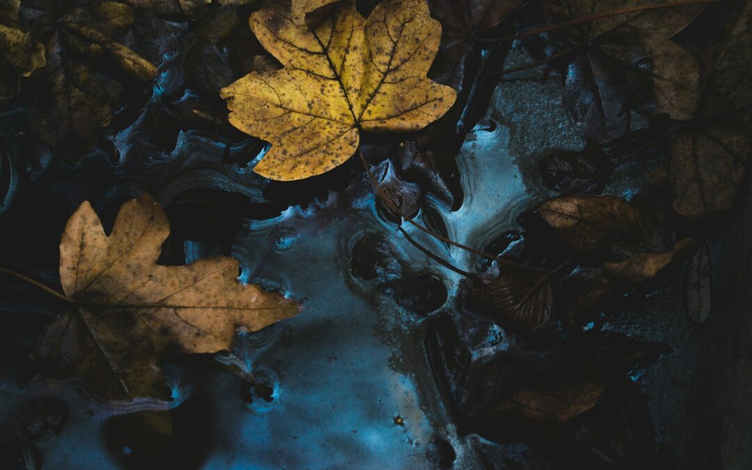 EcoGathering: Presence