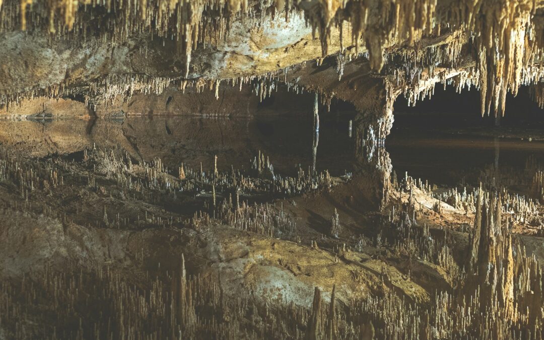 EcoGathering: Patience