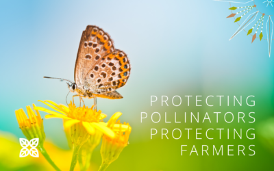 Protecting Pollinators, Protecting Farmers