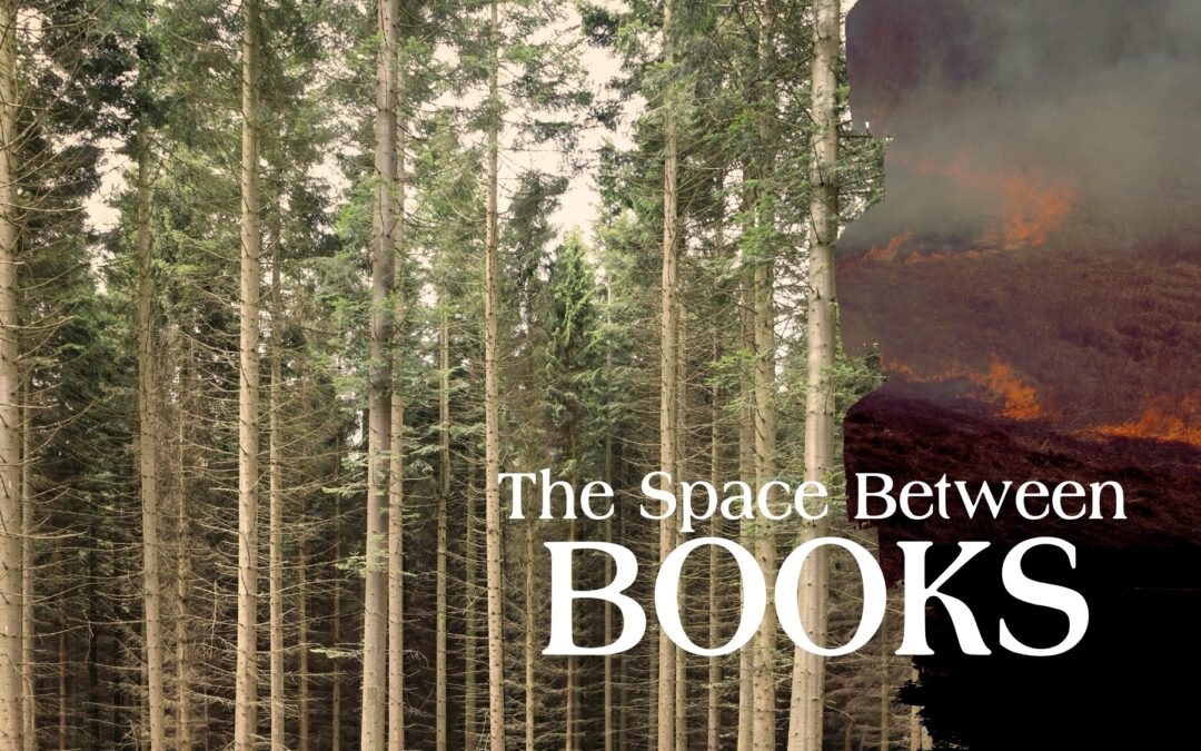 The Space Between Books