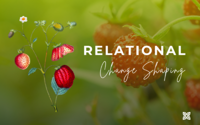 Relational Change Shaping