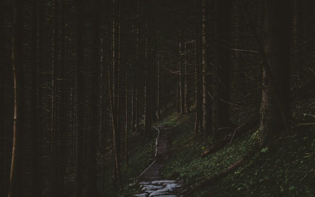 EcoGathering: Darkness