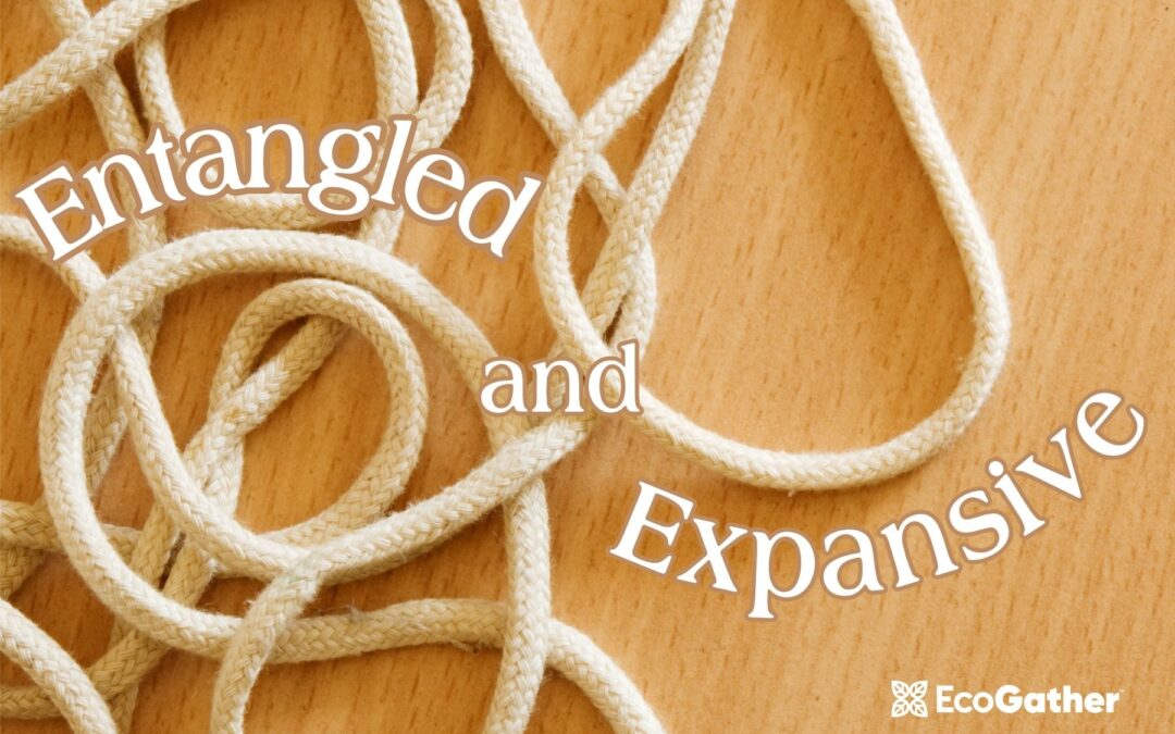 Entangled and Expansive