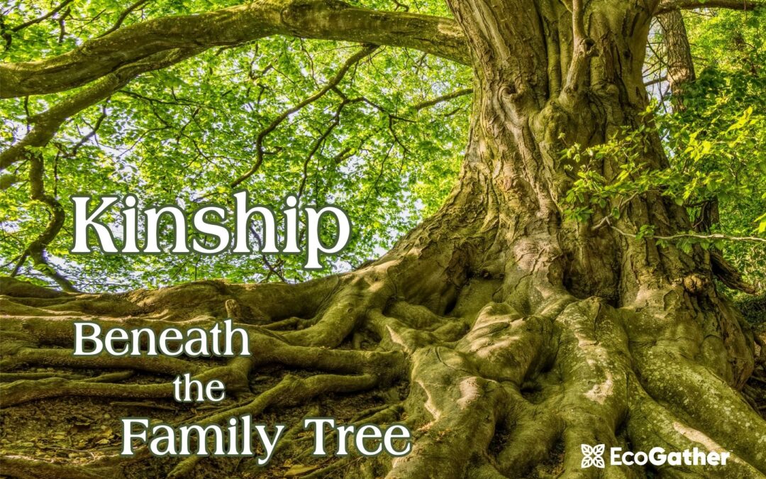 Kinship Beneath the Family Tree